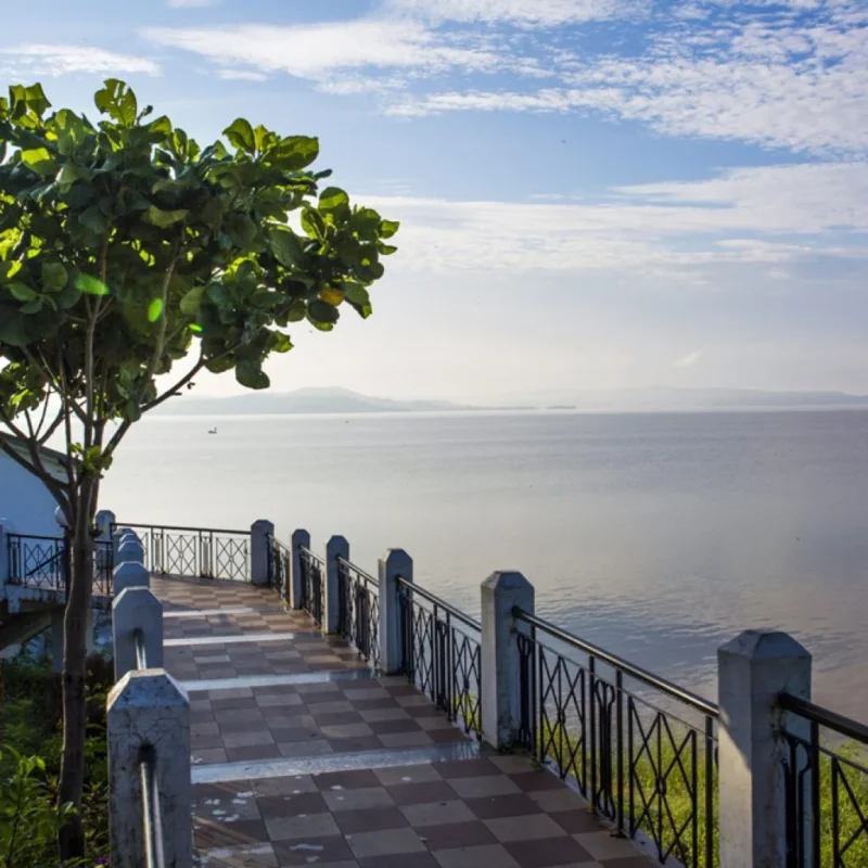 Bargi-Dam_6071-A-1024x1024