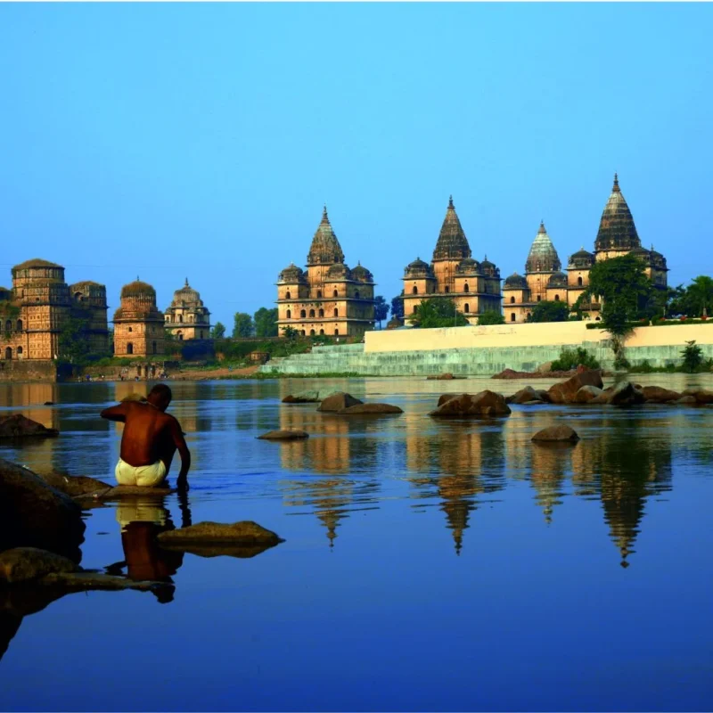 ORCHHA-06-1024x1024