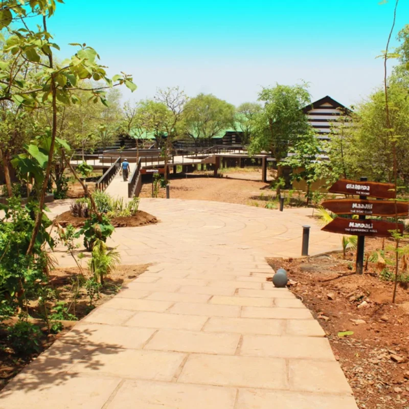 sailani_island2-1024x1024